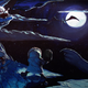 Illustration for article titled A Special Preview of the New SUPER iam8bit Art Show, Returning to LA This Week